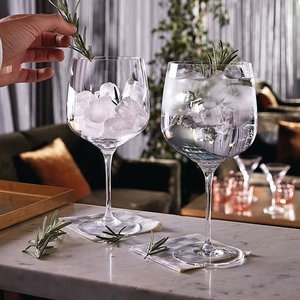 grote Oceaan Ban Oorzaak Gin Tonic glazen 76 cl set van 6 | Originele Gin Tonic glazen - Kookwinkel  Kitchen&More